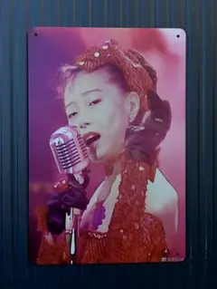 歌手 看板 昭和の歌姫 中森明菜さん⑧