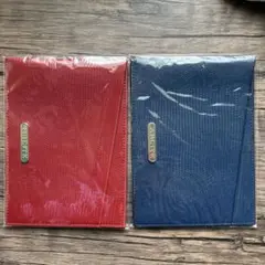 ABISTEマルチケース2色セット