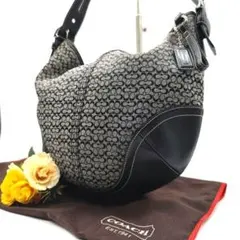 美品 Coach One Shoulder シグネチャー ワンショルダー y2k