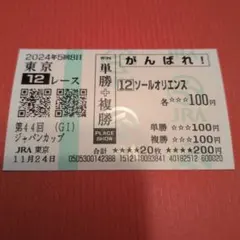 2020年 ジャパンカップ ３冠馬 現地的中応援馬券 2020年 ジャパンカップ 3冠馬 現地的中応援馬券 - メルカリ