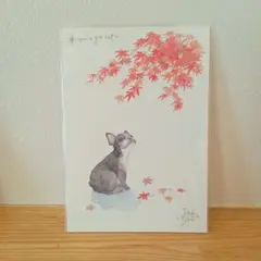 フレンチブルドッグ 紅葉 秋 ポストカード はがき １枚