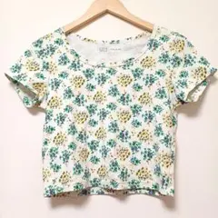 UNIQLO　PAUL&JOE　UT（半袖）　Tシャツ