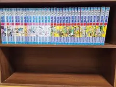 ジョジョの奇妙な冒険 ４部 ＋ ５部 ２９巻～６３巻