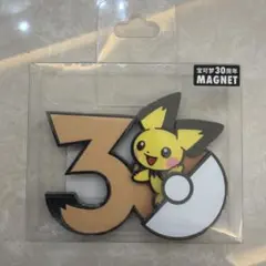 ピカチュウ マグネット 30周年 中国限定 ポケモン | Mercari