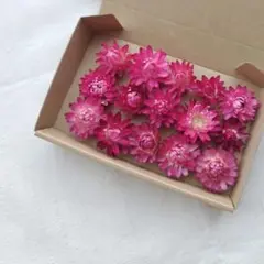 ちひろ⭐︎まとめ買い50円引き様 リクエスト 3点 まとめ商品