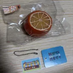 Silicoco ミニサイズ オレンジ フルーツ スクイーズ