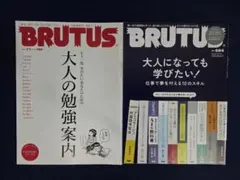 カラアゲマヨネーズ様 リクエスト 8点 まとめ商品
