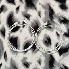 【動作確認済み】Apple純正 Lightning to Type-C ケーブル