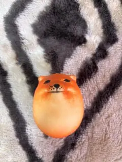 シバコ シバコエッグ 柴犬