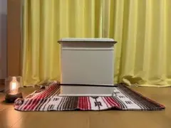 【訳あり】ダルトン DULTON STEP CAN DUAL BUCKET