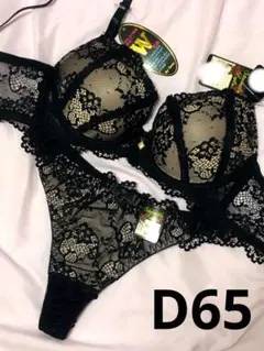 D65 ヌーディーレース育乳脇高ブラジャー&バック透けTバック