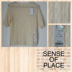 SENSE OF PLACE ウェーブメッシュカットソー 5分袖のサムネイル