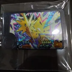 ポケモン　フレンダ　サンダー