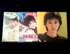 超希少・個人撮影】松田聖子 デビュー当時 自宅ロケ 坂本九 8枚 スター