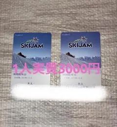 SKIJAM 大人、平日一日リフト券2枚セット
