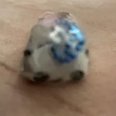 サンエックスユニバース チャームつきグミ たれぱんだ