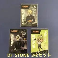 Dr. STONE ✖️ローソンストア100 「ホログラムカード」3枚セット