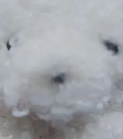 ♡