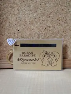 Item thumbnail for item d0f7c067-a3b2-46c1-afb6-96251bfbc761