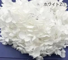 あまおう《オーダーお休み中》様 リクエスト 2点 まとめ商品