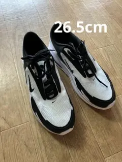 Nike ランニングシューズ ホワイト/ブラック