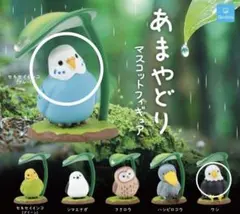 あまやどり ガチャ　セキセイインコ　ワシ