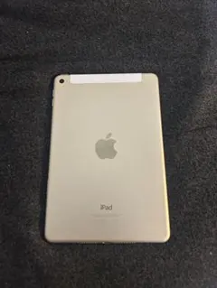iPad mini