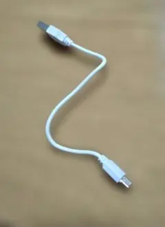 Item thumbnail for item e6ab4419-0562-4528-b6ba-734ddc2d0209