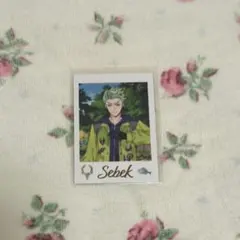 ツイステ展 ランダムカードコレクション セベク・ジグボルト