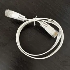 LANケーブル RJ45 約1メートル