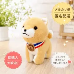 柴犬 ぬいぐるみ 犬　豆柴　豆しば三兄弟　豆太郎　目指せ金メダル　日本　dogのサムネイル