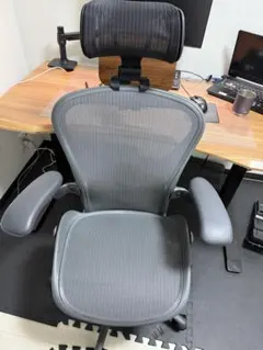 アーロンチェア リマスタード Bサイズ ダークカーボンベース