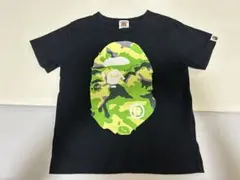 Item thumbnail for item f78d7c3d-506a-41d3-b390-3af15ef55816