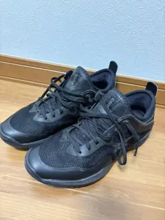 Item thumbnail for item 8b704228-f06b-493a-a3d4-a7c157afbe25