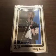 Stray Kids dominATE ランダムライブフォトカード アイエン