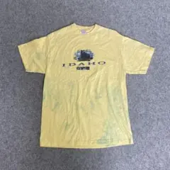 Y193 Z-USA IDAHOプリント Tシャツ イエロー L
