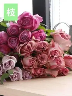 トモ様 リクエスト 2点 まとめ商品