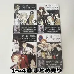 ☆文豪ストレイドッグス 文スト 小説 4冊セット☆全巻セット - メルカリ