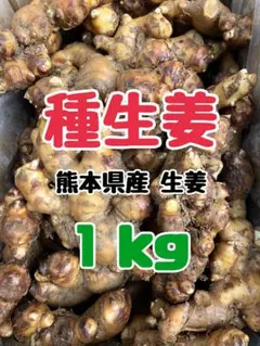 専用 種生姜 熊本生姜 1 キロ - メルカリ