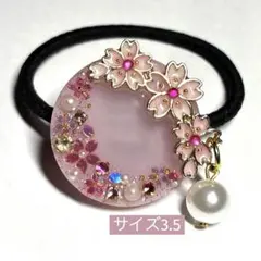 Item thumbnail for item 8dcae087-61d4-45e3-8e19-d0bef4b5932d