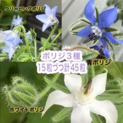 mint様 リクエスト おまとめ2点 - メルカリ