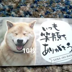 Item thumbnail for item 2167291a-623a-4367-b0ae-3a327c417dd0