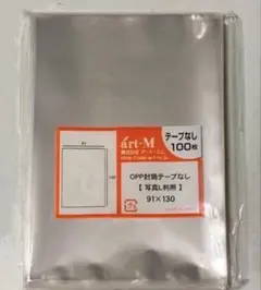 100枚 L判生写真 ぴったりスリーブ