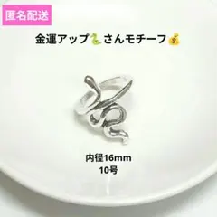 指輪 リング スネーク 蛇 シルバー 金運 金運アップ メンズ レディース へびのサムネイル