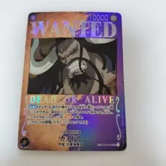 カイドウ SR SP(スペシャルカード) ST04-003 手配書 - メルカリ