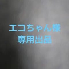 エコちゃん様　専用出品