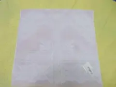 Item thumbnail for item 4f2aed7f-7e4d-4260-9b86-5aa2b4bd95be