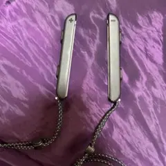 Nintendo Switch ジョイコン ストラップ 2本