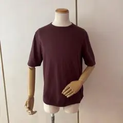 Cruciani クルチアーニ コットン ハイゲージ クルーネック 半袖 ニット