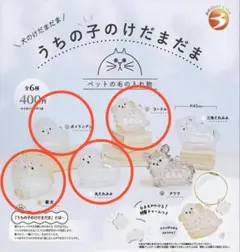 うちの子のけだまま　犬のけだまだま　4種類　新品